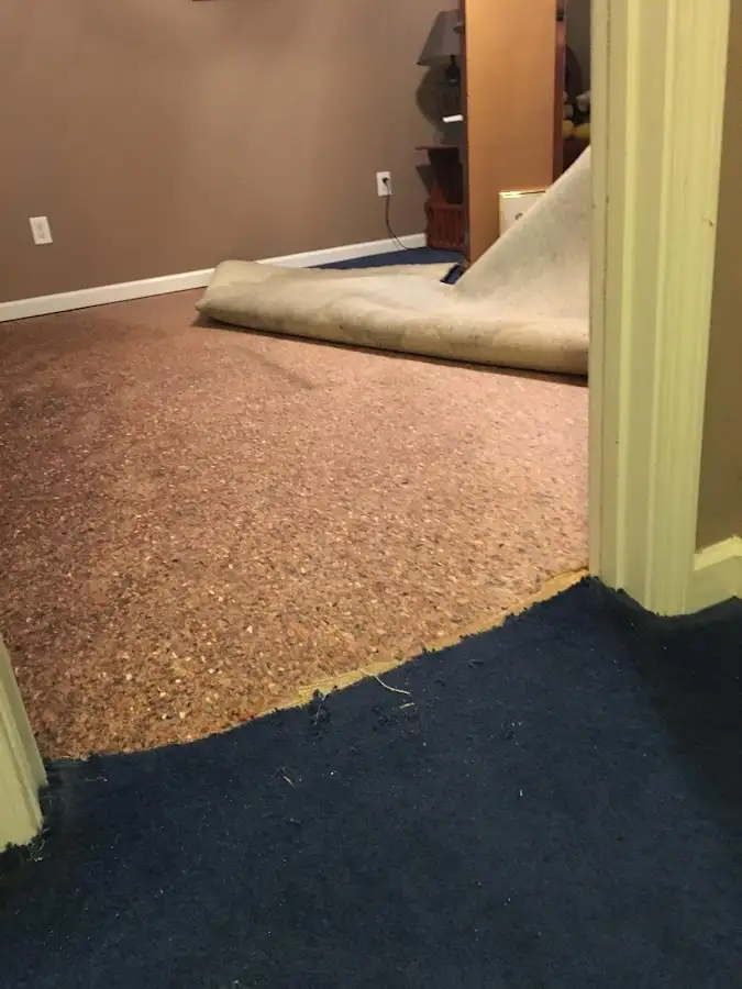 Carpet pad removal revealing water damage during Drying & Dehumidification in Lisle