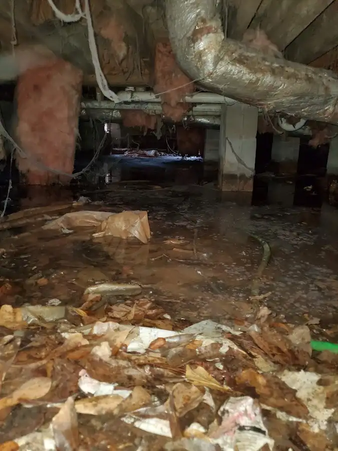 Crawl space flood assessment for Leak Detection & Repair in Lisle