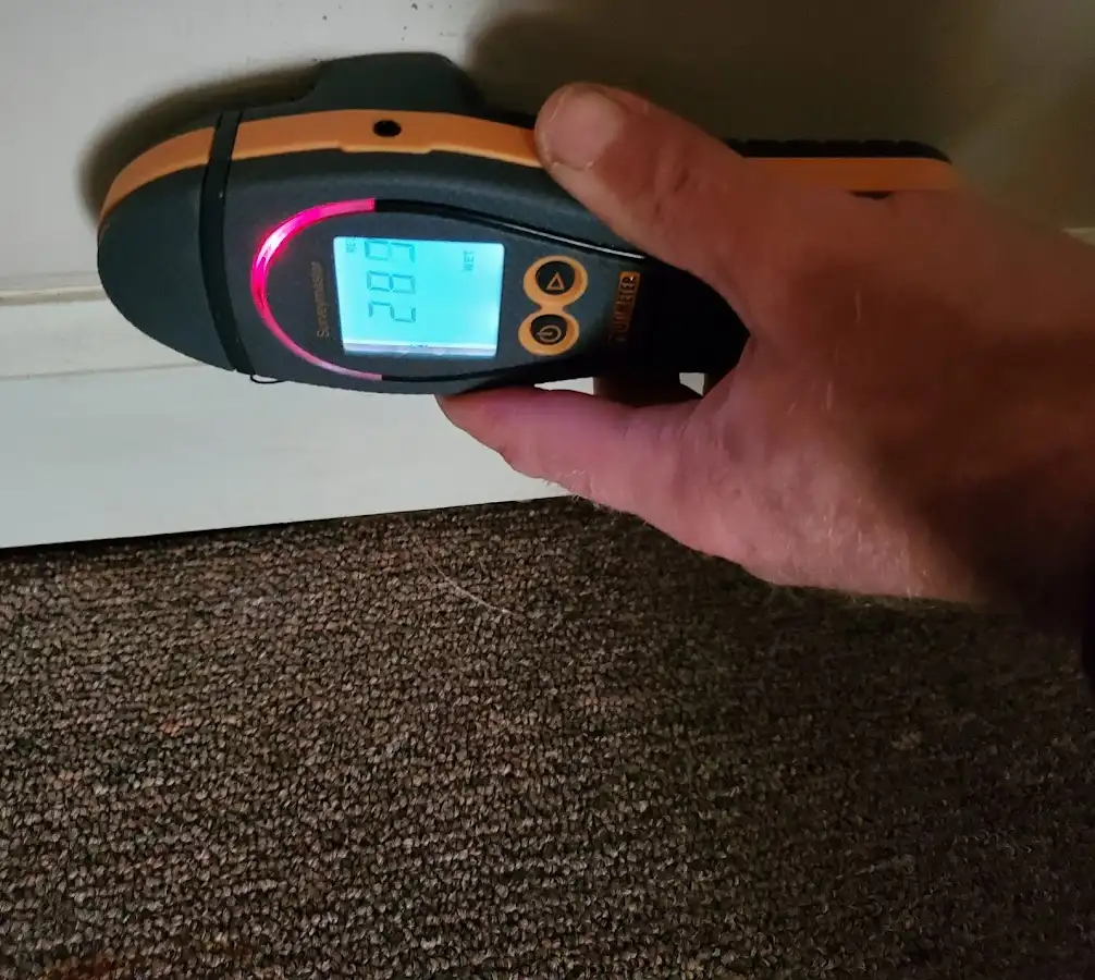 Moisture detection at baseboard during Mold Inspection & Testing in Lisle